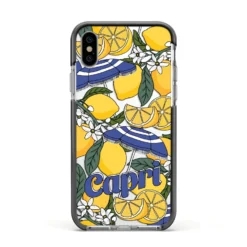 Capri IPhone Case -CaseCraze Store Capri Apple iPhone Xs Impact Case Black Edge on Silver Phone