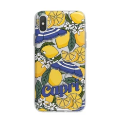 Capri IPhone Case -CaseCraze Store Capri iPhone X Bumper Case on Silver iPhone Alternative Image 1