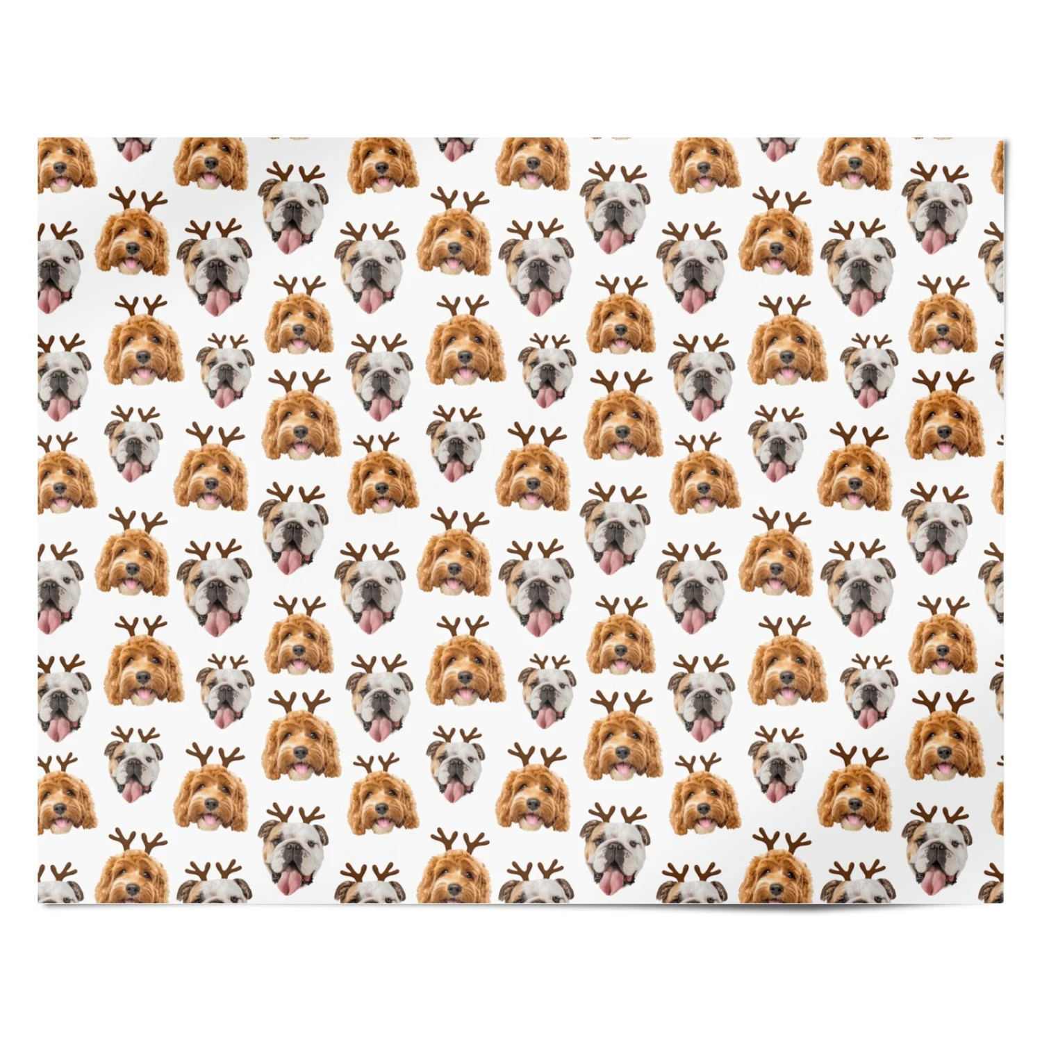 Two Dogs Personalised Photo Reindeer Christmas Wrapping Paper 5 Two Dogs Personalised Photo Reindeer Christmas Wrapping Paper - Image 5