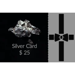 Gift Card -CaseCraze Store Vaultskin Giftcard Silver